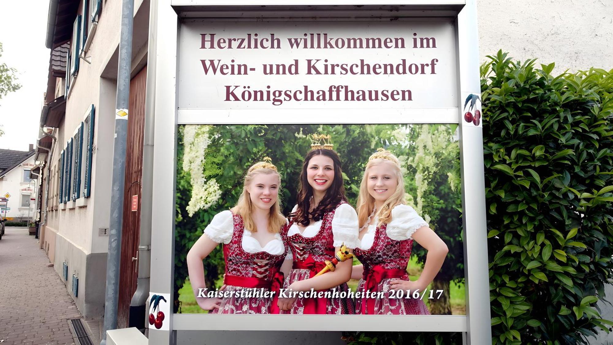 Ferienwohnung Fliegerhorst Endingen am Kaiserstuhl Ngoại thất bức ảnh
