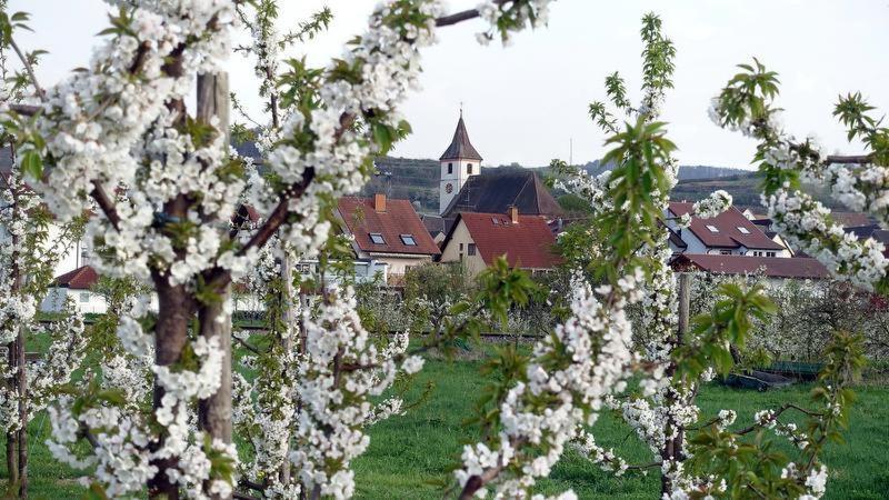 Ferienwohnung Fliegerhorst Endingen am Kaiserstuhl Ngoại thất bức ảnh